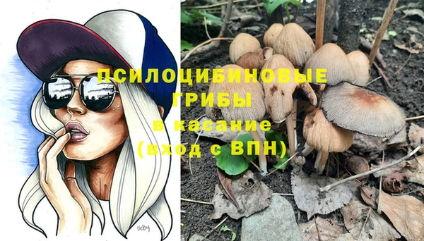 не бодяженный Михайлов