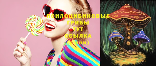 бошки Алапаевск