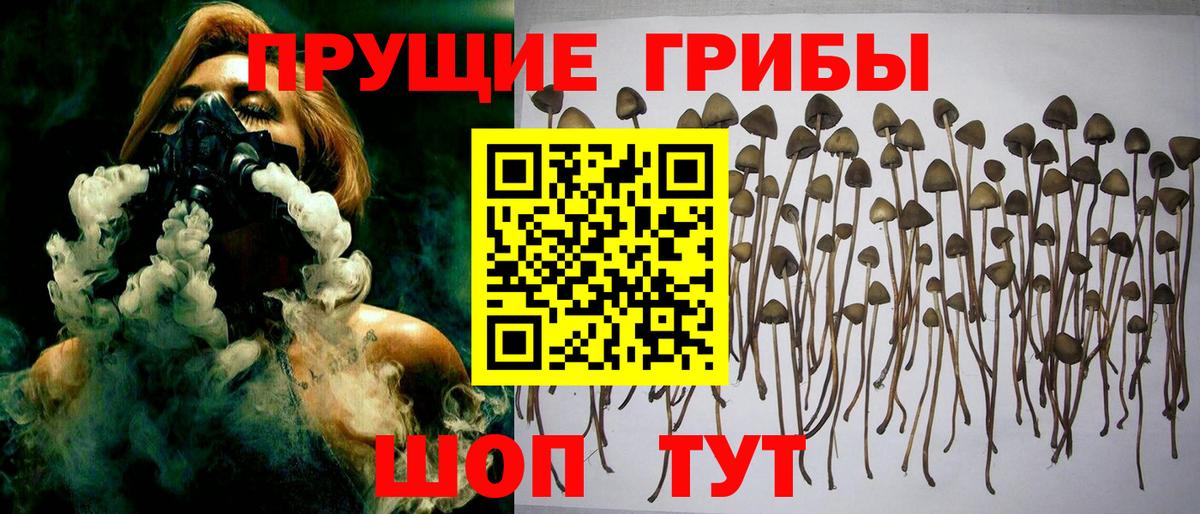 Галлюциногенные грибы ЛСД Красногорск