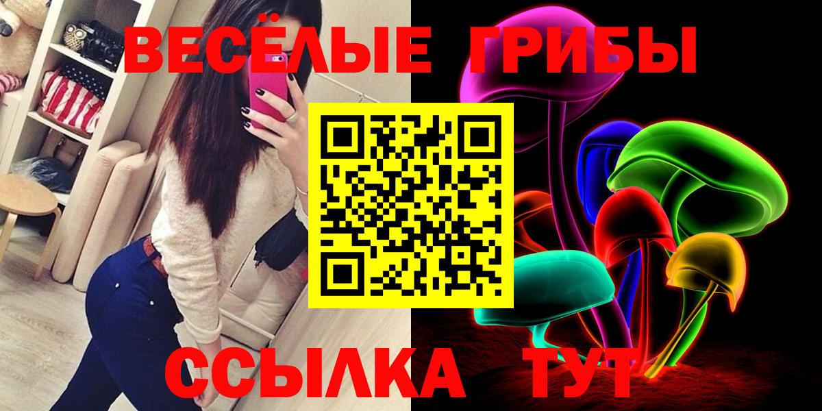 Красногорск  Галлюциногенные грибы мицелий  Вход с VPN  Псилоцибиновые грибы Cubensis 