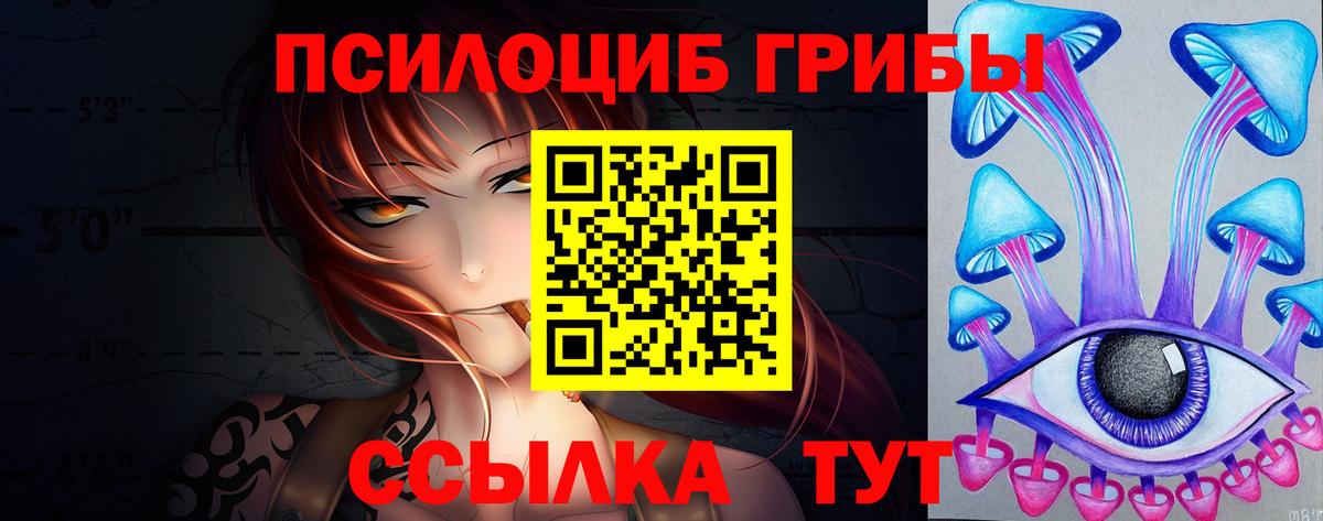 Псилоцибиновые грибы GOLDEN TEACHER Красногорск