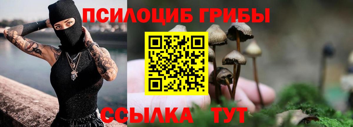 Красногорск  Галлюциногенные грибы MAGIC MUSHROOMS  Псилоцибиновые грибы MAGIC MUSHROOMS  Вход с VPN 